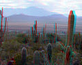 3D dusk on Desert.jpg